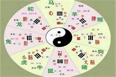 君字五行|君字的五行属性是什么